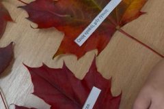 585003335_1655338002485432_5487356285337624351_n