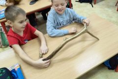 600218163_1675552387130660_206056360670342520_n